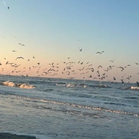Appartamento Vue Dunes à 400m De La Dunkirk